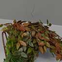 2Pcs Artificial Greenery Stems, 43.7" Nandina Branches Tall Faux Plant Stems for Vase, Greenery Decor Stems Leaves Bunches for Shop Garden Office Home Dcor (Green2)