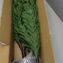 4FT Artificial Norfolk Pine Christmas Tree, Real Touch Faux Potted Tree with Pot for Indoor Outdoor Home Decor, Realistic Fake Plant for Front Porch, Living Room, Office