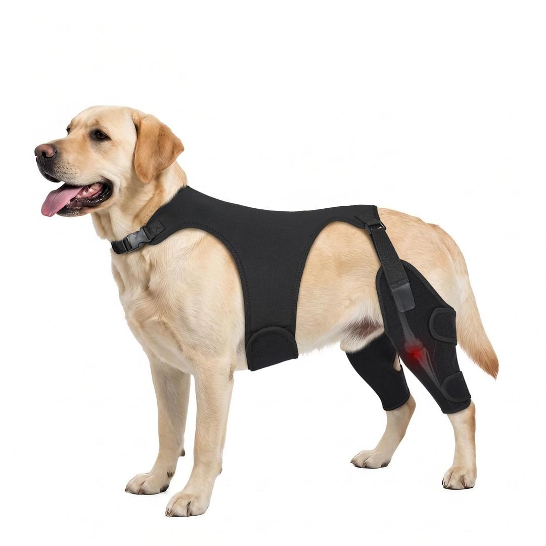 Dog Knee Brace for Torn ACL Hind Leg- Dog Leg Support Brace with Metal Stabilizers for Torn CCL, Limping, Luxating Patella, Ligament Injuries, Hip Dysplasia& Arthritis, XXL