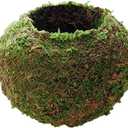 Moss Ball Flower Pot Natural Planter Bonsai Plant Holder Bird Nest for DIY Gardening Home Table Decoration - 9cm