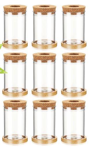 Baderke 9 Packs Propagation Vases for Plants Plastic Plant Propagation with Hole Lid and Bamboo Stand Growing in Water Hydroponic Home Office Desktop Vase Decoration(Classic Style)