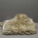 Premium Genuine Fur Sheepskin Rug Real Australia Sheepskin Natural Luxury Fluffy Lambskin Fur Area Rug Seat Covers for Kids Bedroom Sofa Chair Cover (Creamy Gray, Single Pelt/2ft x 3ft)