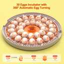 30 Egg Incubators for Hatching Chicken/Quail/Pigeon/Birds Eggs, Incubator with Automatic Egg Turning/Temperature Control/Humidity Display/Egg Candler/360View/Fully Automatic, for Beginner/Farm/Home
