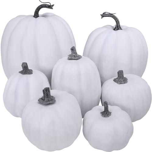 Winlyn 5Pcs Assorted Sizes Fall Artificial Pumpkins Harvest Pumpkins Faux Foam Pumpkins for Fall Autumn Season Halloween Thanksgiving Harvest Holiday Season Festive Tabletop Decoration (White)
