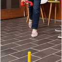 Plastic Horseshoe Game