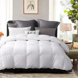 Globon Goose Down Comforter Queen Size All Season,400 Thread Count,Ultra Soft Noiseless Shell,,800 Fill Power Duvet Insert with Corner Tabs,White