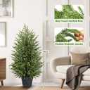 3ft Artificial Topiary Trees for Outdoor Front Porch Dcor, Real Touch Norfolk Pine Tree, UV Rated Fake Potted Plants for Outdoor Indoor Door Garden Farmhouse Home Decoration