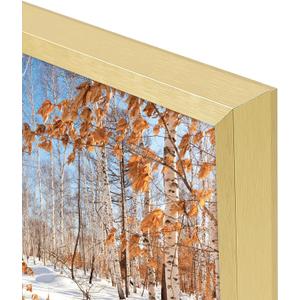 Golden State Art, 20x30 Aluminum Picture Frame, Gold Metal Thin Poster Frames for 20 x 30 inch Photo, Acrylic Front, Wall Hook for Horizontal or Vertical Display, 2 Pack