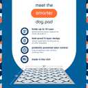 Pet Life Unlimited Smart Prints XXL Puppy Pads for Dogs, Potty Training Pee Pads, 60 Count, 30" x 36", Leak-Proof, Super Absorbent, Quick-Dry, Patterned Pads with Odor Control, Made in USA