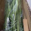 3ft Artificial Plants Onion Grass, 35 in Fake Shrubs Wheat Grass in Pot, for Indoor Outdoor Garden Office Home Decor, Faux Plant Greenery, Green
