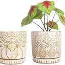 YFFSRJDJ 6 Inch Indoor Plant Pots with Drainage Holes and Saucers, Ceramic Planter for Plants, Flower Pot - Set of 2