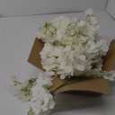 JPSOR 40pcs Artificial Hydrangea Silk Flower Heads with Stems, Fake Flowers for Mothers Day Wedding Centerpiece Home Garden Party Decoration (White)