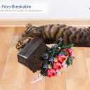 Royal Imports Flower Vase Acrylic Rectangle- Decorative Centerpiece, Succulent Planter Pot for Home or Wedding - Non Breakable Plastic, 4" X12 Low Square - Clear