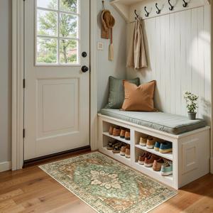 Area Rugs 2'x4' Kitchen Rugs Entry Rug Small Rugs for Entryway Kitchen Bathroom Door Mat Indoor Entrance,Washable Non Slip, Brick Red Rust Neutral Brown Burnt Orange Green