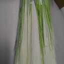 Artificial Pampas Grass, 5PCS 5 Heads Faux White Reed Grass, 36Inch Tall Fake Pampas Grass for Home Decor, Living Room, Floor Vase, Wedding & Farmhouse Indoor Outdoor Decor