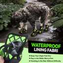 Dog Shoes for Large Small Medium Dogs,Waterproof Dog Boots & Paw Protectors with Breathable Mesh for Summer Hot Pavement,Anti-Slip Dog Booties for Hiking Hardwood Floors Winter Snow (Green-3)