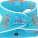 Light Up Dog Harness,Rechargeable LED Dog Harness for Small Medium Large Dogs,Reflective Lighted Safety Vest for Night Walking & Camping,Lightweight & Adjustable,Blue,XS