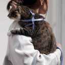 Cat Harness Escape-Proof Anti-Choking Adjustable Nylon Harness Lightweight with Anodized Aluminum Buckle, Ideal for Cats Outdoor Walking and Training, IDA Award (Vivid Red, S (13.8"))