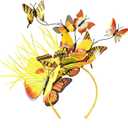 Gionforsy Butterfly Fascinator Headband Monarch Butterfly Headband Crown Tea Party Halloween Costume Headpiece (Yellow)