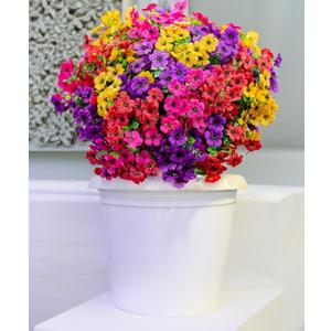 12-Pack Fake Mums Plants Artificial Fall Flowers for Outdoor Indoor Porch Yard Garden Decor, Faux Flower Daisy with Eucalyptus Leaves Boxwood Porch Patio (Daisy-4 Colors Mixed)