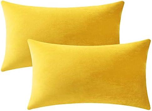 DEZENE Couch Pillow Covers 12x20 Yellow: 2 Pack Cozy Soft Velvet Rectangular Throw Pillow Cases for Farmhouse Home Decor