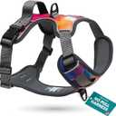 Embark Adventure Dog Harness, Reflective Trim No Pull Dog Harness for Large Dogs - Military Grade Nylon, Front Clip with Gel Lined Handle. Soft & Padded Puppy (Aurora)