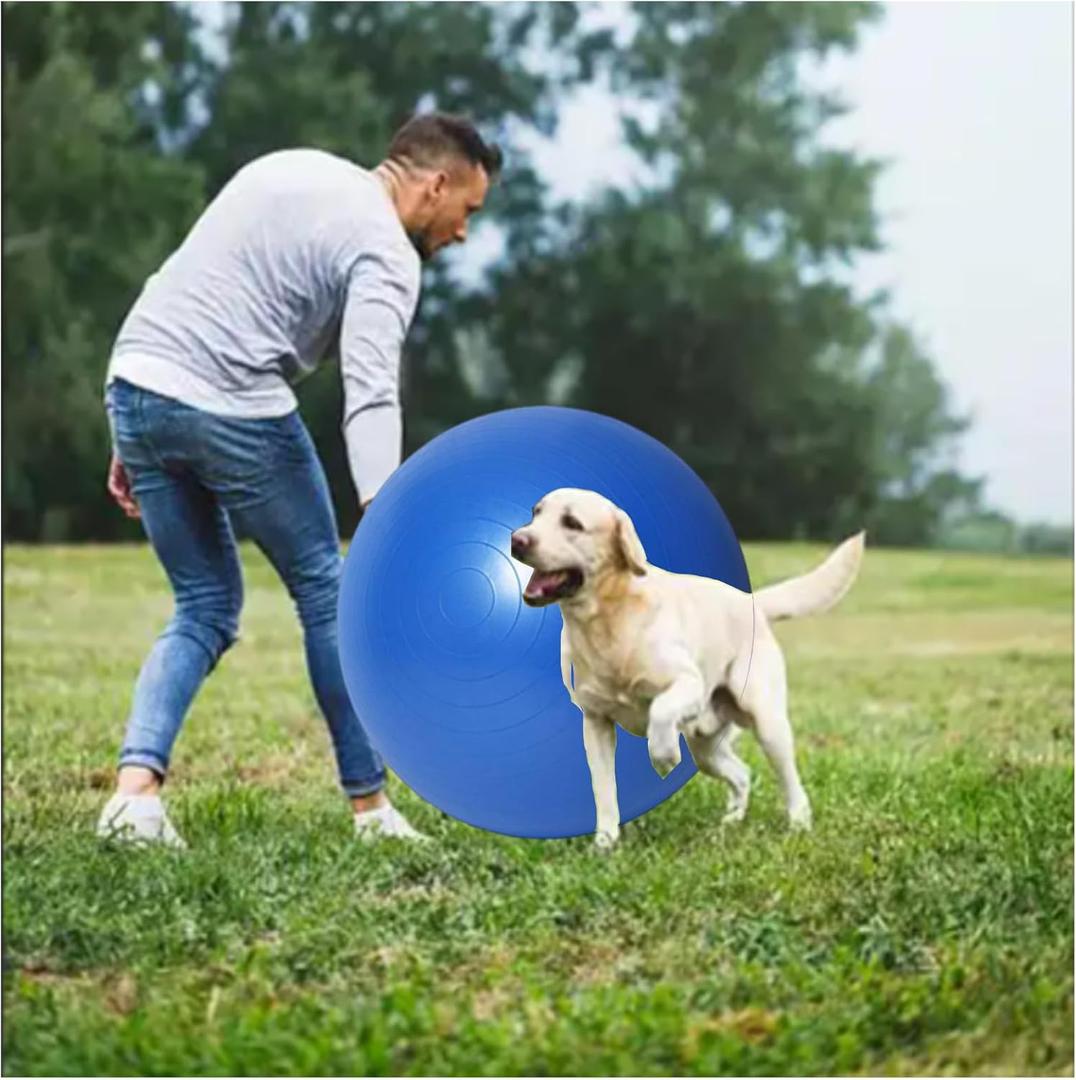 mwater Herding Ball for Dogs :25 Inch Heavy-Duty Blue Ultra-Thick, Hardened,Thickness 4mm, Weight 4.8 LB, Non-Chewable, Ideal for Chasing and Active Play (24.8in)