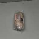 Dusty Light Pink Beige Balloon Arch Double Stuffed Mauve Blush Nude White Cream Matte Balloon Garland Kit for Boho Baby Shower Birthday Baby in Bloom Bridal Wedding Valentine Party Decoration