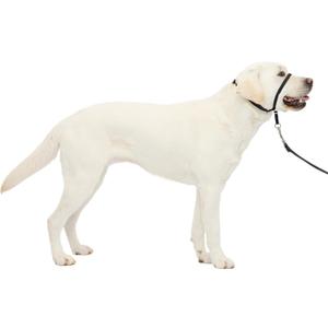 PetSafe Gentle Leader No-Pull Headcollar - Breathable Lightweight Walking Halter - Minimal Strap Design & Padded Nose Loop - Snout-Specific Fit - Helps Gain Easy Control (Large, Black)