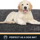 PURRUGS Dirt Trapping Door Mat 34" x 59", Non-Slip Machine Washable Entryway Rug, Dog Doormat, Indoor Front Door Mat, Super Absorbent Entry Rug for Muddy Shoes & Paws, Light Grey-Dark Grey