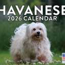 Havanese Calendar 2026 Wall 12 Month Monthly Havaneses Gifts For Havanese Lovers Women Men Mom Dad | American Made In The USA