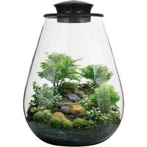 Mini Desktop Glass Plant Terrarium with Grow Light - Planter for Succulent Moss Miniature Gardening Landscape, Small Fish Tank, Indoor Plant Growth, Office Home Decoration, Plant Lovers Gifts