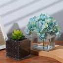 12 Pcs Clear Acrylic Flower Vase, 4 X 4 Inch Square Centerpiece Vases for Home Office Wedding Floral Decor, Modern Cube Containers for Plants Succulents Centerpieces