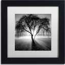 Framed Wall Art - Moises Levy 'Lightning Tree I' Wall Decor with Matted Frame by Trademark Fine Art, 11"L x 11"W