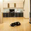 Modern Frame Clear Acrylic Freestanding Dog Gate - 32" Tall Extra-Wide Folding 6-Panel Pet Barrier for Doorways, Stairs & Large Openings, Indoor Fence for Small to Large Dogs & Cats