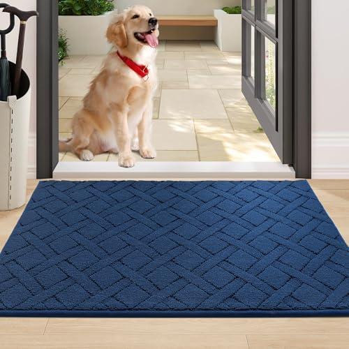 COSY HOMEER Door Mat Indoor Entrance, Non-Slip Absorbent Doormat for Front Door, Low-Profile Entryway Mat for Dirty Paws, Washable Dirt Trapper Mats (32"x48", Blue)
