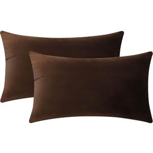 Home Brilliant Brown Lumbar Pillow Cover Velvet Oblong Throw Pillows for Sofa Couch Bench, Set of 2, 12 x 20 Inches(30x50cm), Brown