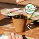 Back to the Roots Heirloom Organic, Non-GMO & USA Grown Seeds, 30ct Herb, Fruit, and Veggies, Assortment May Vary, Guaranteed to Grow