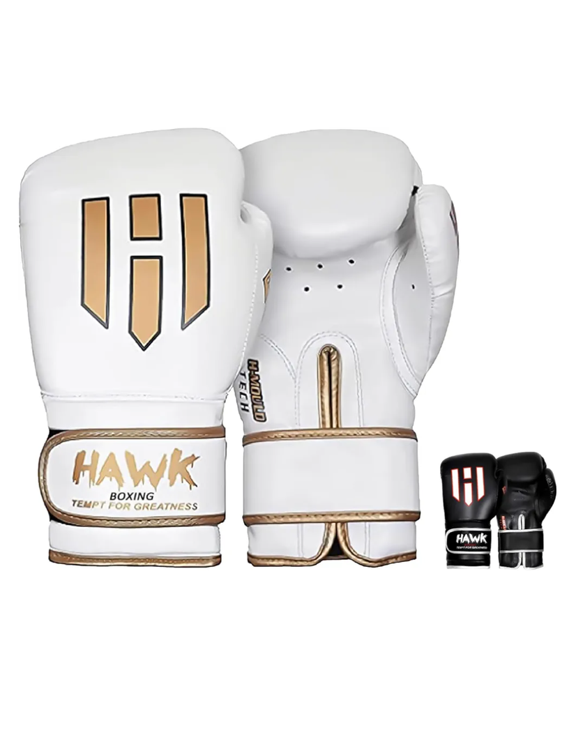 Hawk Sports Boxing Gloves for Men and Women, Comfy Boxing Training Gloves with Foam Padding for Throwing Power Punches with Confidence, Heavy Bag Boxing Gloves for Training and Sparring 12.OZ