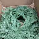 Artificial Norfolk Pine Garland, Realistic Christmas Greenery Garland for Mantle, Staircase, Banister, Fireplace, Wall, Door, Table, Indoor & Outdoor Holiday Winter Decortions (9 Ft-2pcs)