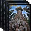 13x19 Picture Frame Black Poster Frames Display for Wall, Set of 6