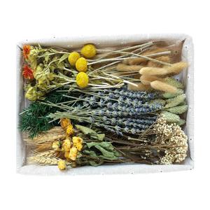 DIY Natural Dried Flower Set, Bulk Dried Flowers for Vase, Dried Flowers with Stems, Dried Roses, Mini Dried Flower Bouquets.(Brown)