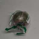 SunGrow Leopard Gecko Coco Hut, Gecko Climbing Accessories, Raw Coconut Shell Reptile Hide, Terrarium Habitat Dcor, 2.5 Opening Diameter, with Fiber Loop for Hanging (1-Hole)