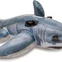 INTEX Inflatable Pool Float: Pool Toy for Kids