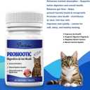 BB 06/06/2028 Probiotics for Cats Digestive Enzymes with Prebiotics for Gut Health, Constipation & Diarrhea Relief, Immune & Itch Support, 