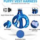 SCENEREAL Small Dog Harness and Leash Collar Set, Step in Soft Light Puppy Vest, Breathable Pet Harness for  Dogs, No Choke Reflective for Safe Outdoor Walking, Blue Shark M