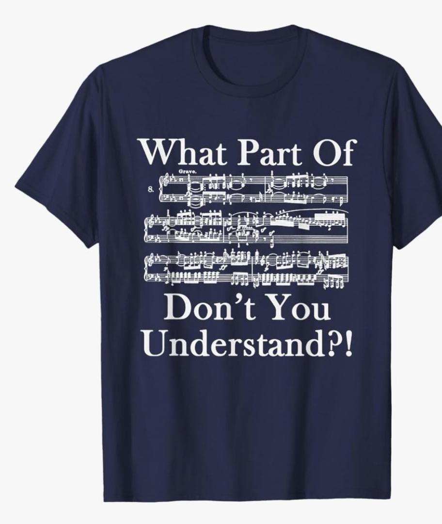 What Part Of Music Don't You Understand Funny Music Note T-Shirt Medium Blue