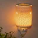 Bobolyn Plug-in Wax Warmer Ceramic Electric Wax Melt Warmer Candle Melter Burner for Scented Wax, Scentsy Wax Cubes, No Flame No Smoke No Soot, White Willow Leaves