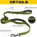 Fida 4 FT Heavy Duty Dog Leash with 2 Comfortable Padded Handles, Traffic Handle & Advanced Easy Snap Hook, Reflective Walking Lead for  Dogs, Green