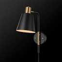 Globe Plug In Wall Sconce